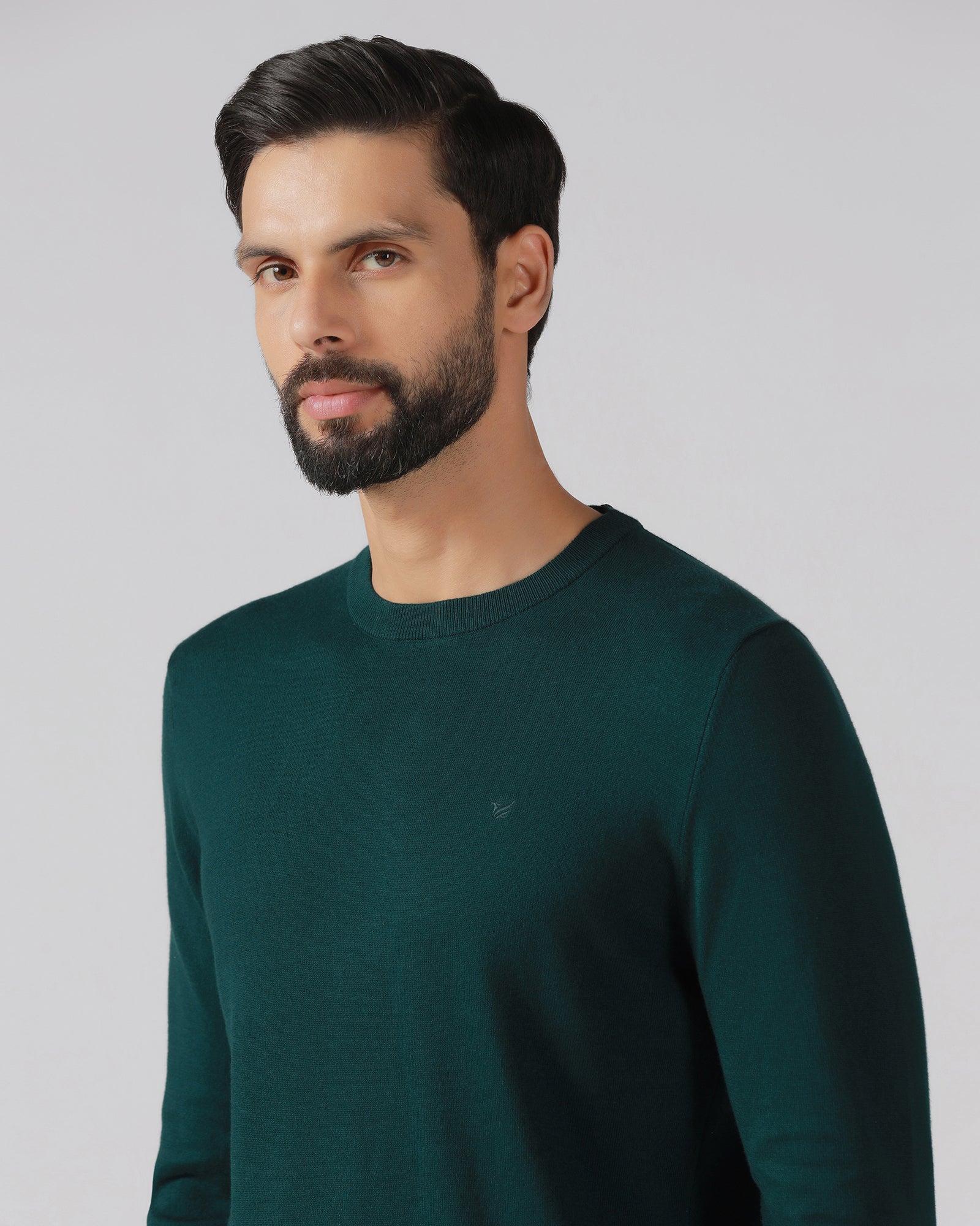 Blackberry Mens Pullover En-Ss-Mario Beetle