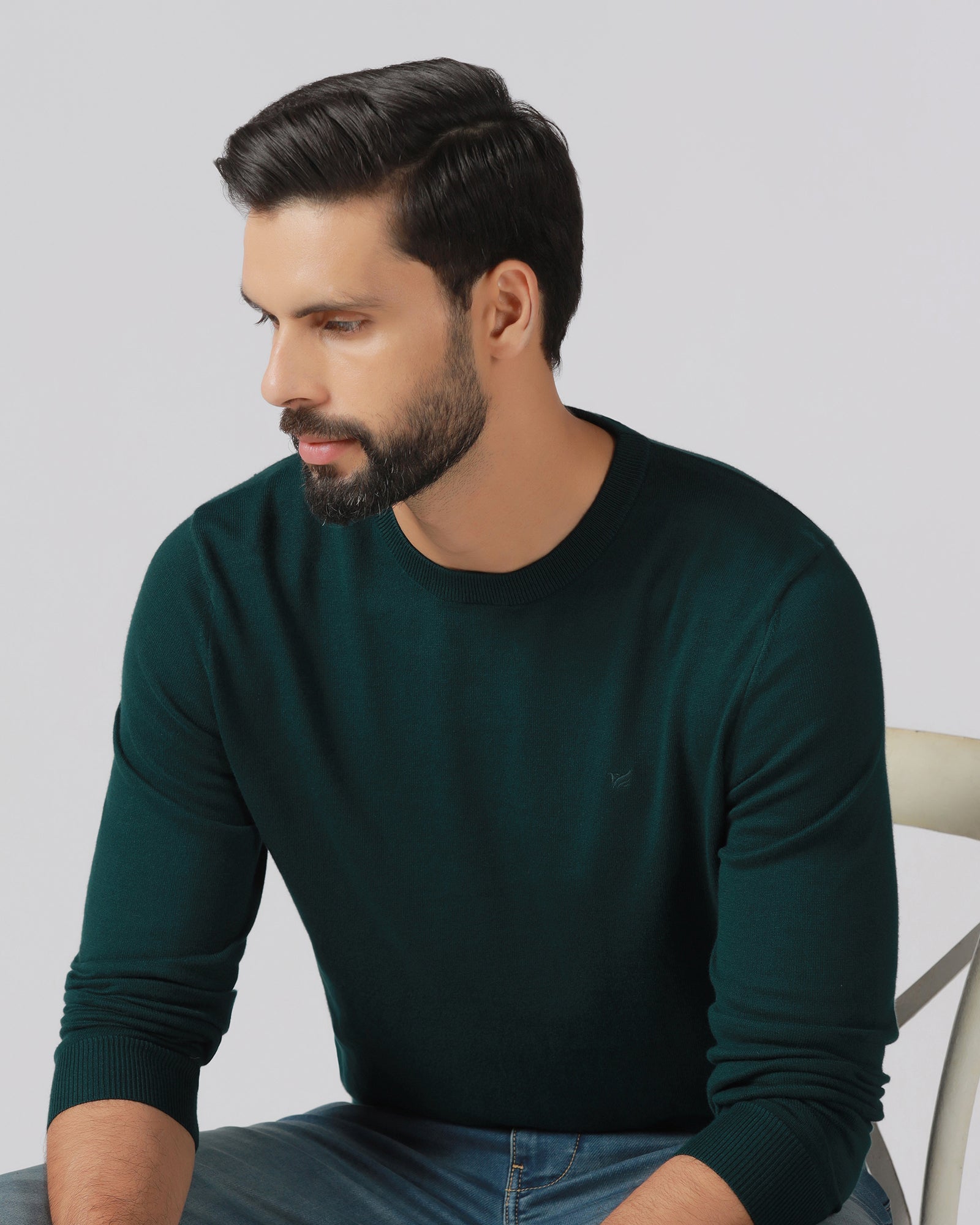 Blackberry Mens Pullover En-Ss-Mario Beetle