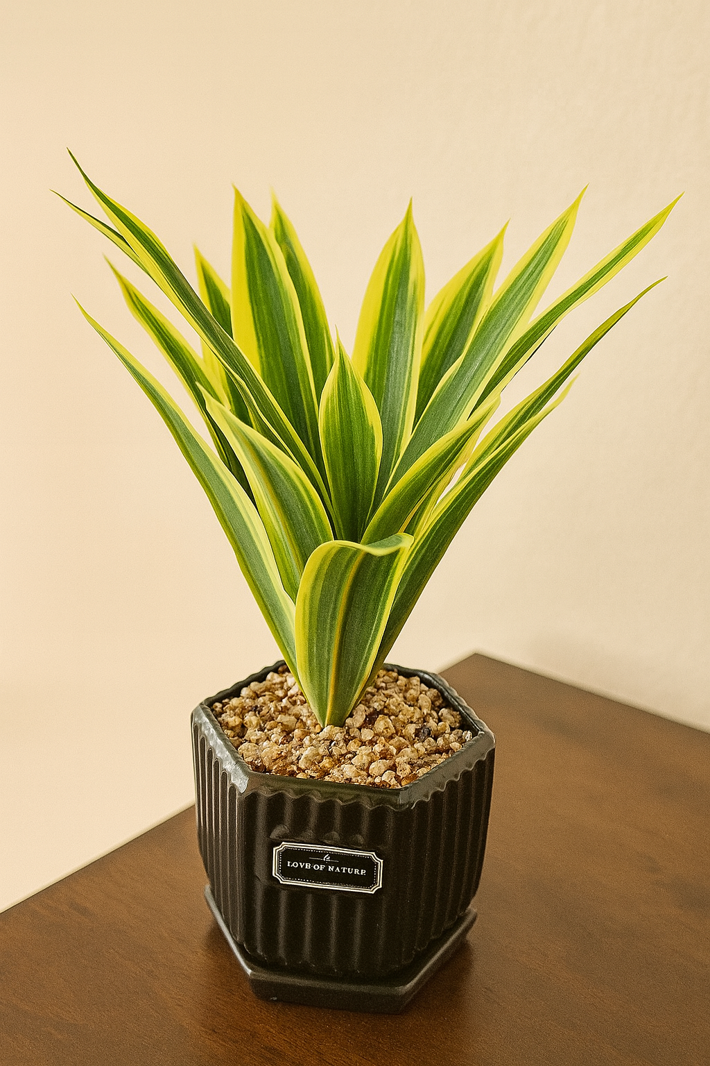 Faux Variegated Snake Plant In Modern Black Geometric Pot No-Fuss Premium Decor