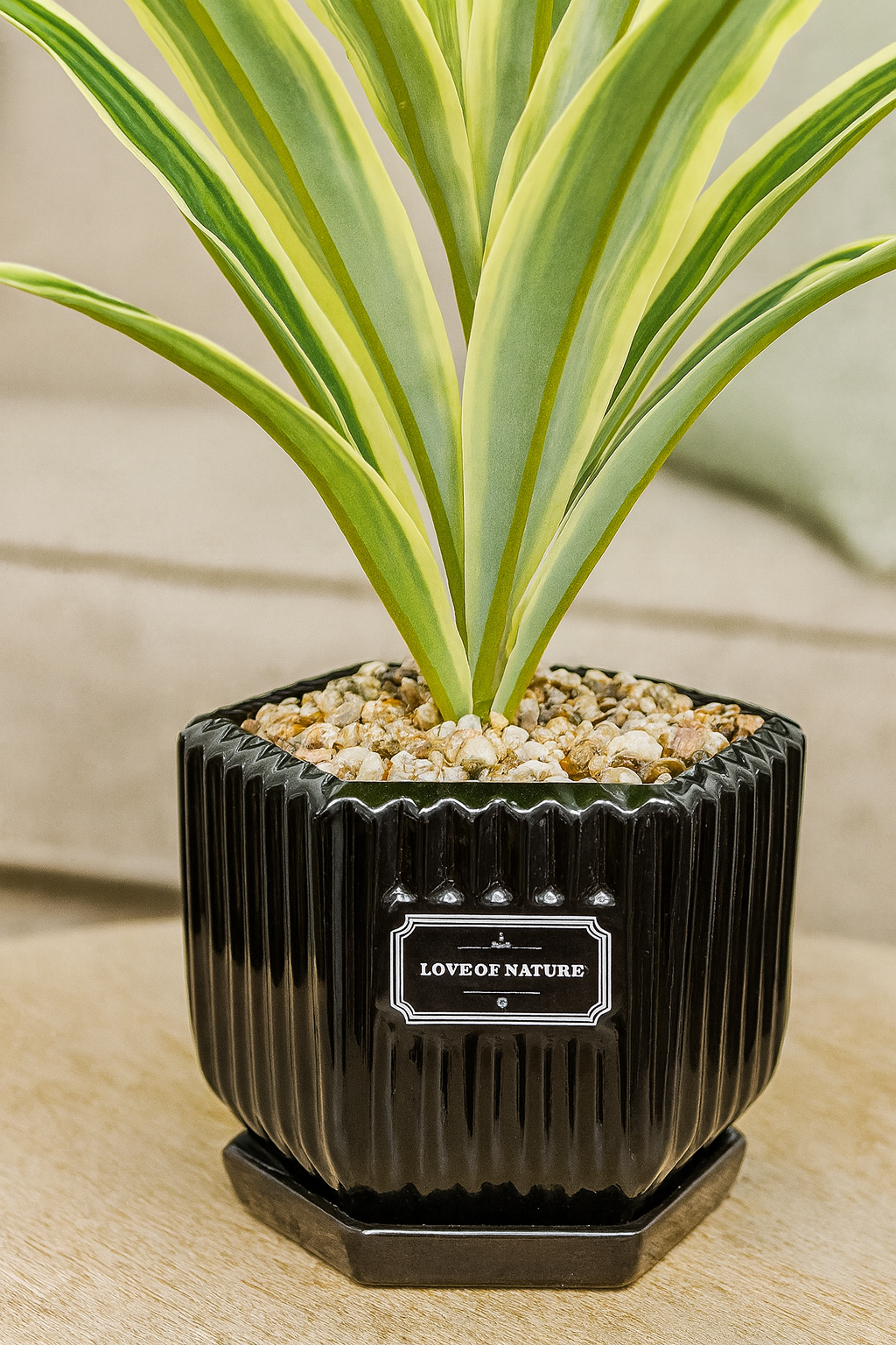 Faux Variegated Snake Plant In Modern Black Geometric Pot No-Fuss Premium Decor
