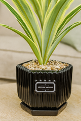Faux Variegated Snake Plant In Modern Black Geometric Pot No-Fuss Premium Decor