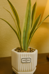 Elegant Faux Variegated Snake Plant in White Ceramic Geometric Pot – Modern Indoor Decor