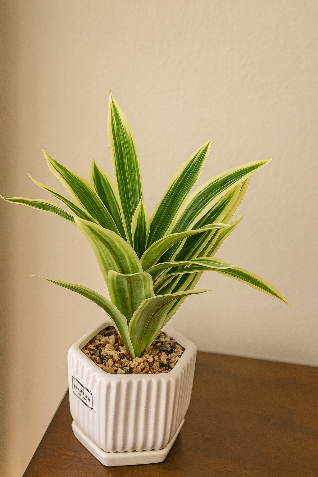 Elegant Faux Variegated Snake Plant in White Ceramic Geometric Pot – Modern Indoor Decor